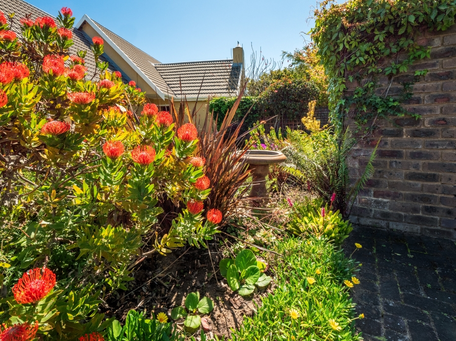 3 Bedroom Property for Sale in The Island Western Cape